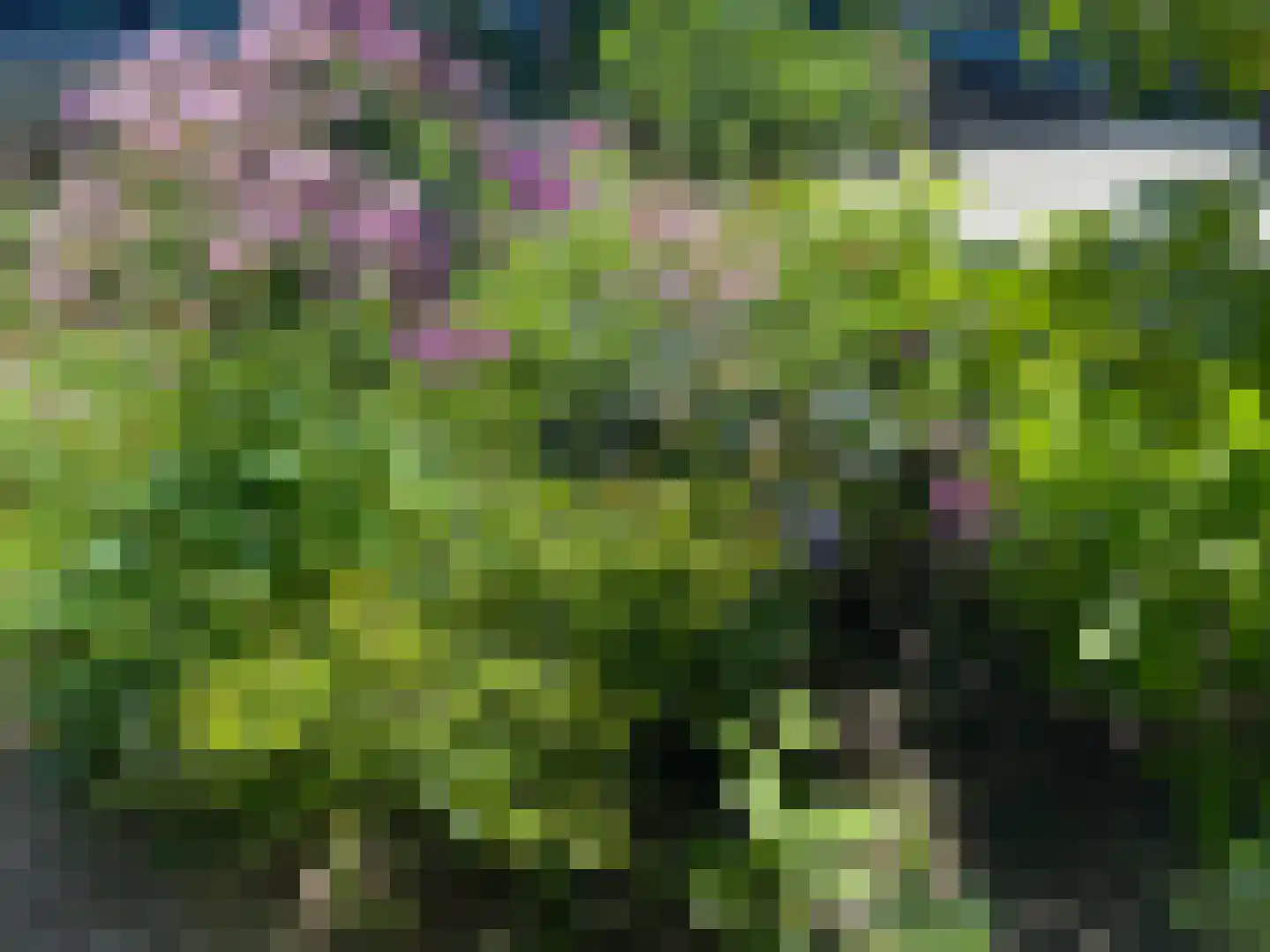 de Werven 37 Muiden thumbnail 33