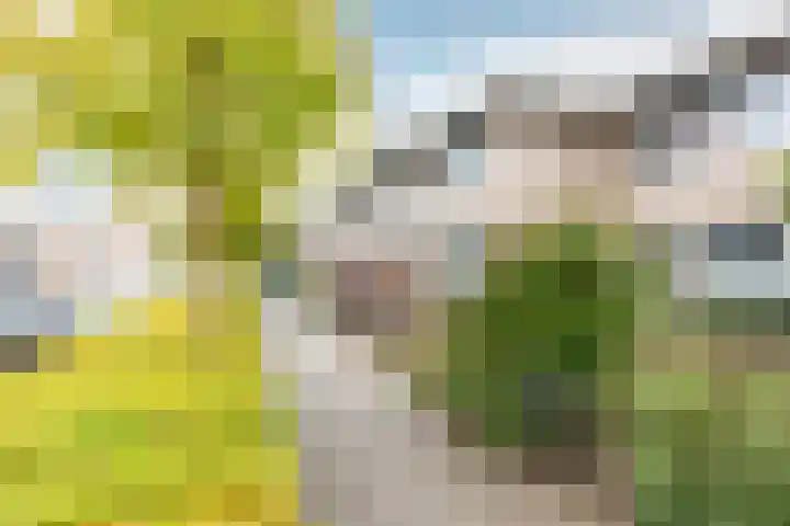 de Werven 37 Muiden thumbnail 34