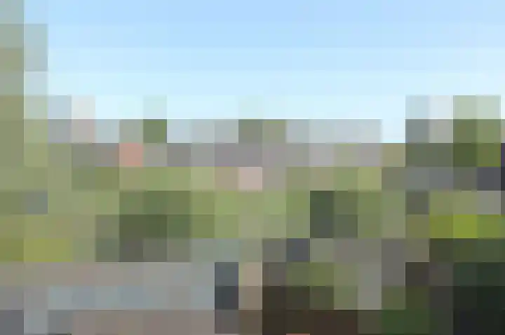 de Wetstraat 103 Ridderkerk thumbnail 6