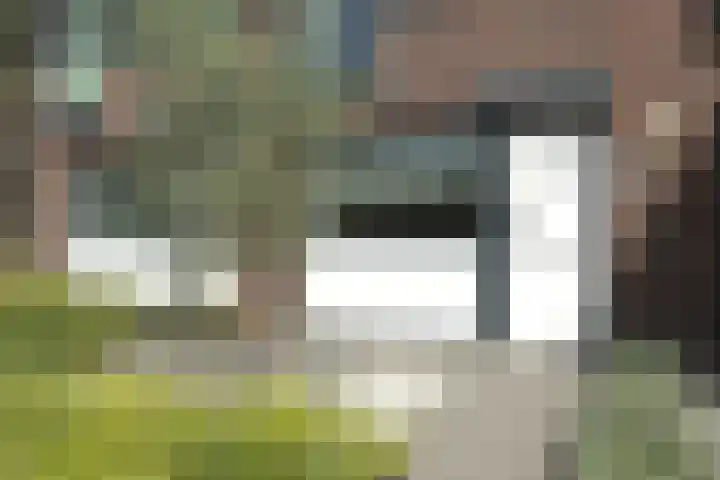 de Wetstraat 103 Ridderkerk thumbnail 7