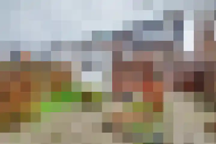 de Wetstraat 32 Ridderkerk thumbnail 27