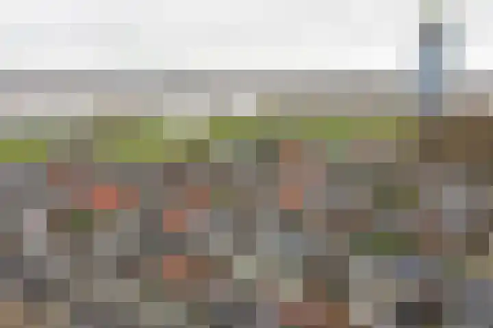de Wetstraat 32 Ridderkerk thumbnail 32