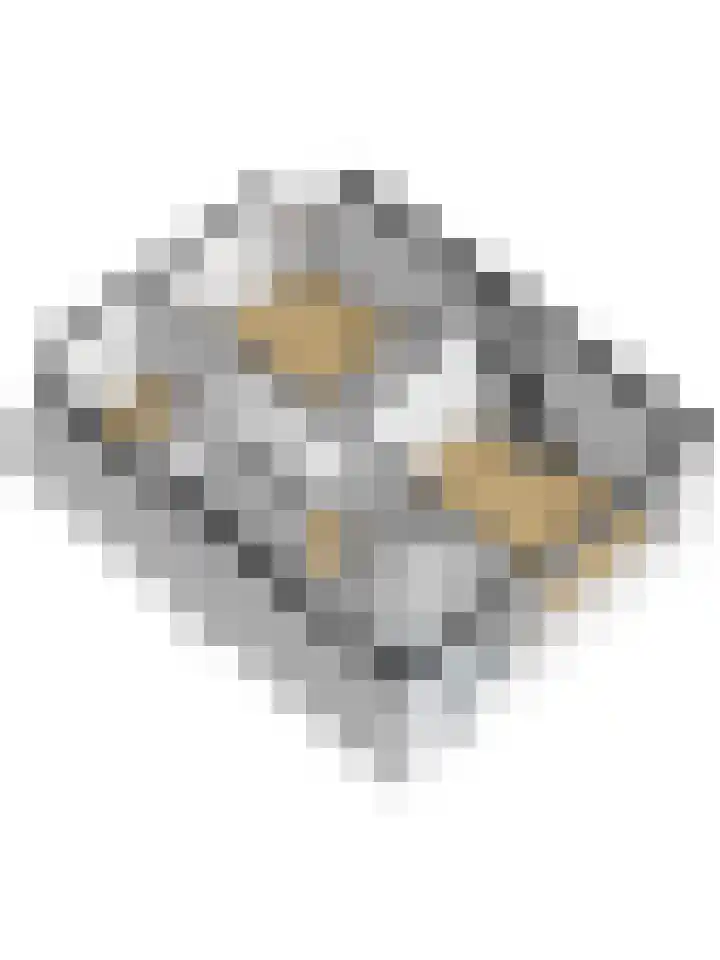 de Wetstraat 32 Ridderkerk thumbnail 38