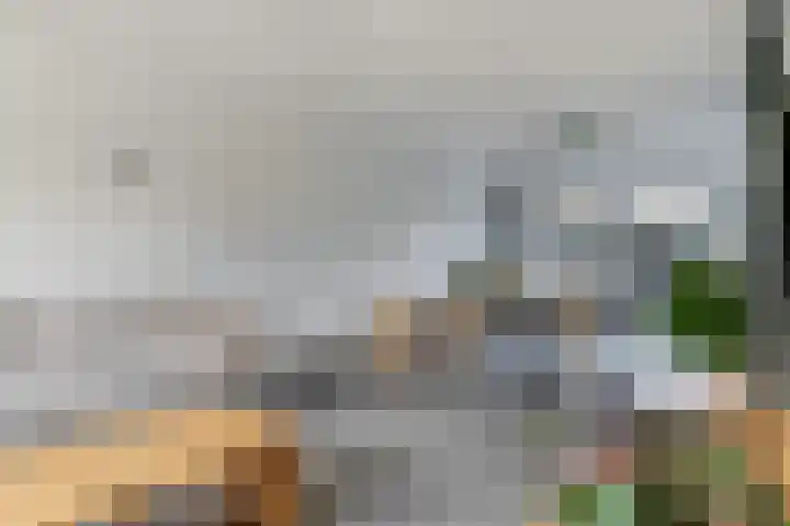 De Wettering 8 Zetten thumbnail 12