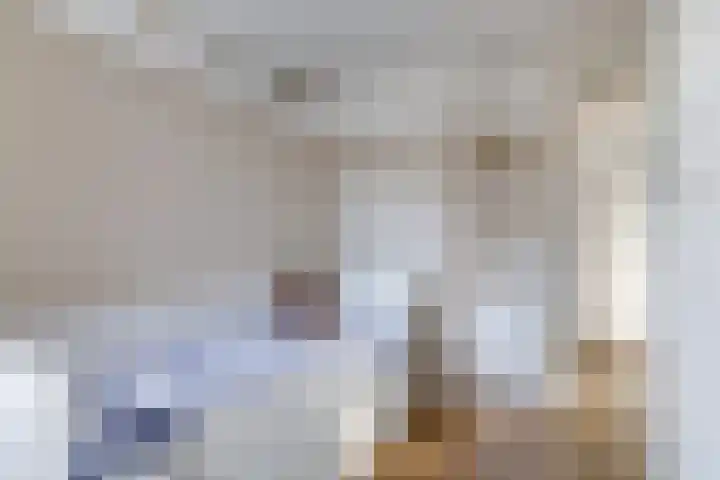 De Wettering 8 Zetten thumbnail 39