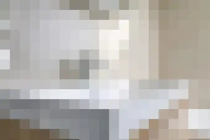 De Wettering 8 Zetten thumbnail 41