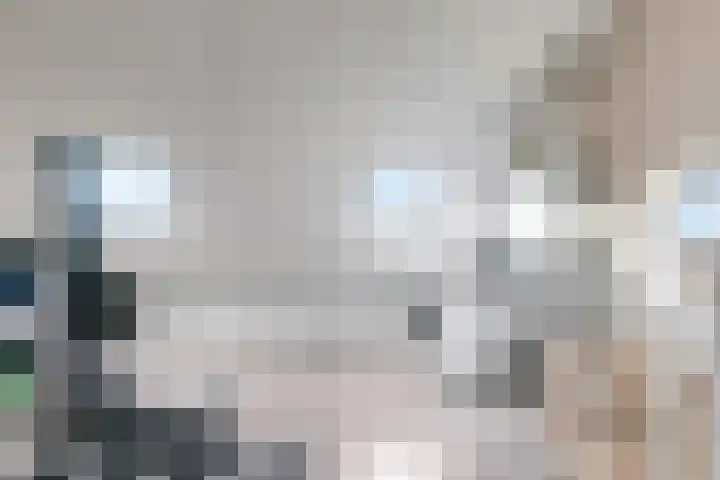De Wettering 8 Zetten thumbnail 48