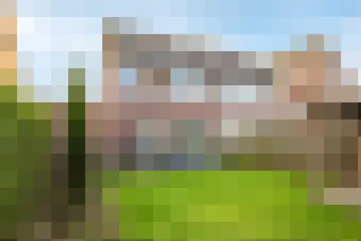 De Wettering 8 Zetten thumbnail 63