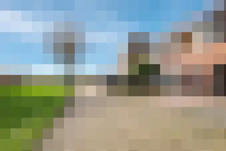 De Wettering 8 Zetten thumbnail 73