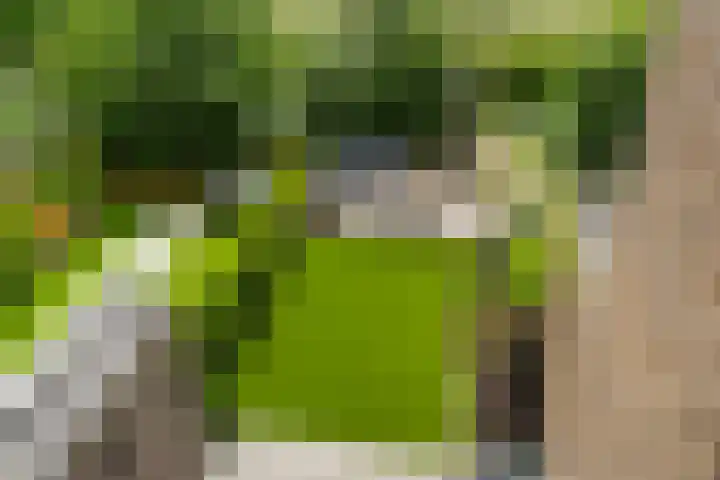De Whemedreef 92 Arnhem thumbnail 38
