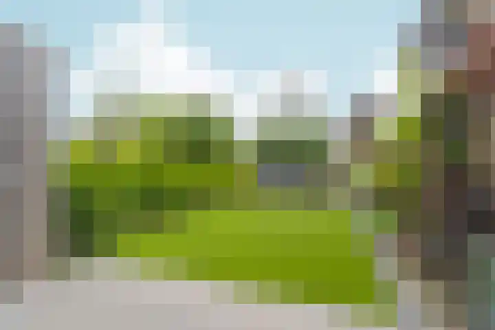De Whemedreef 92 Arnhem thumbnail 41