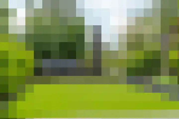 De Whemedreef 92 Arnhem thumbnail 42