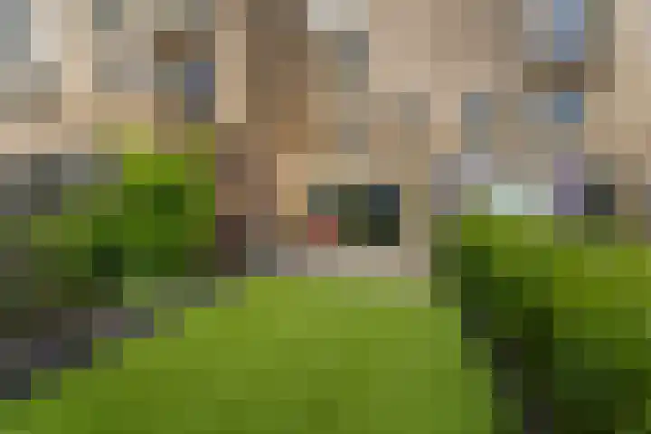 De Whemedreef 92 Arnhem thumbnail 45