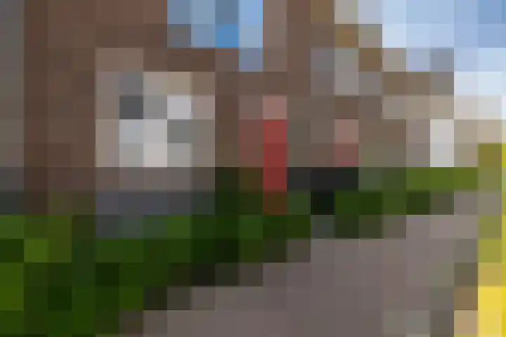 De Wherelanden 174 Purmerend thumbnail 7