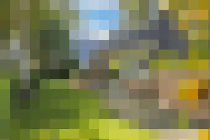 De Wiede 7 Muntendam thumbnail 30