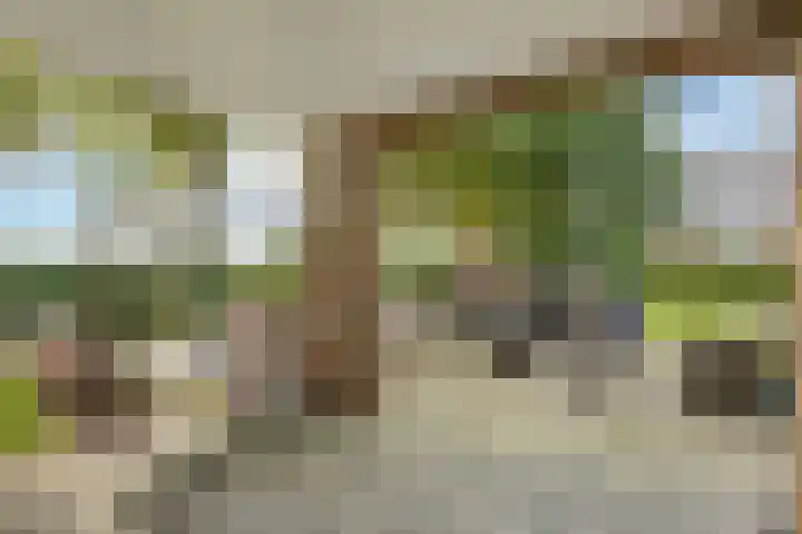 De Wiede 7 Muntendam thumbnail 31