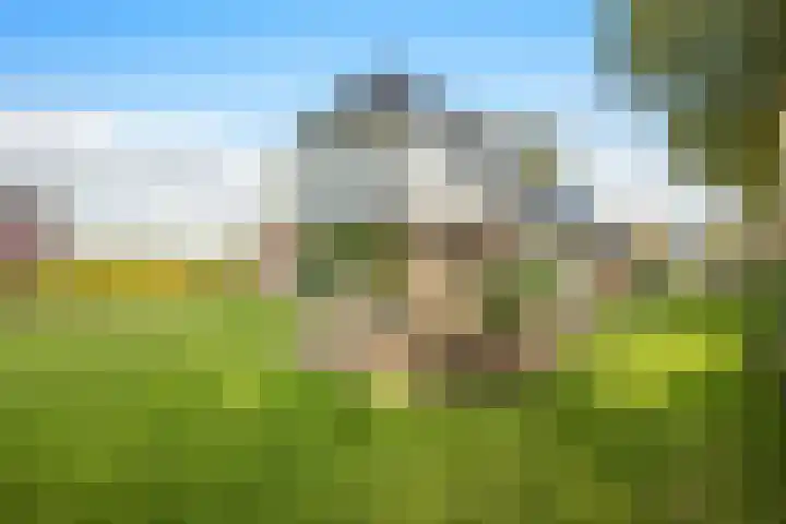 De Wiede 7 Muntendam thumbnail 33