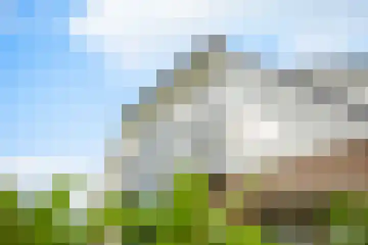 De Wiede 7 Muntendam thumbnail 34