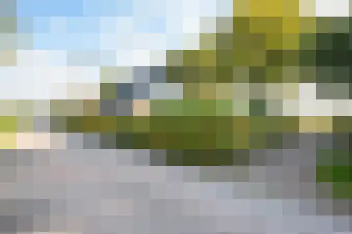 De Wiede 7 Muntendam thumbnail 40