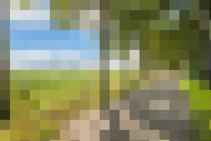 De Wiede 7 Muntendam thumbnail 42