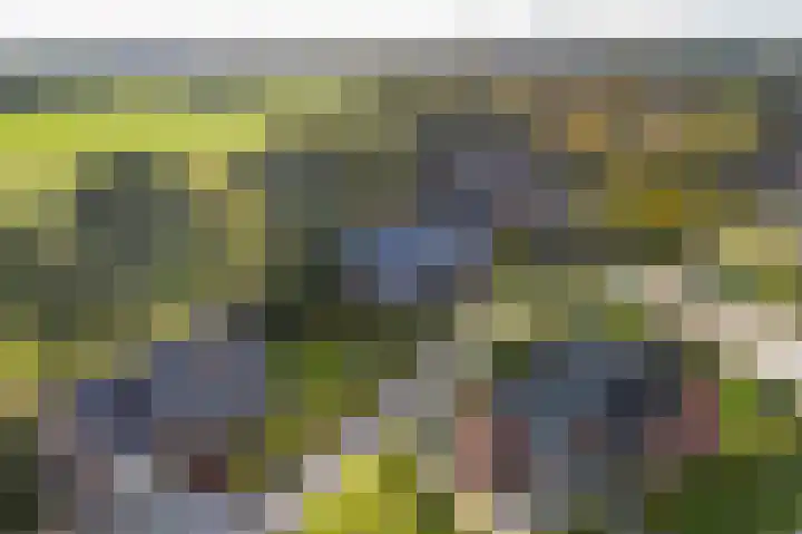 De Wiede 7 Muntendam thumbnail 44