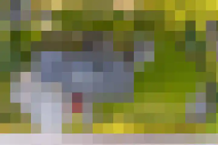 De Wiede 7 Muntendam thumbnail 5