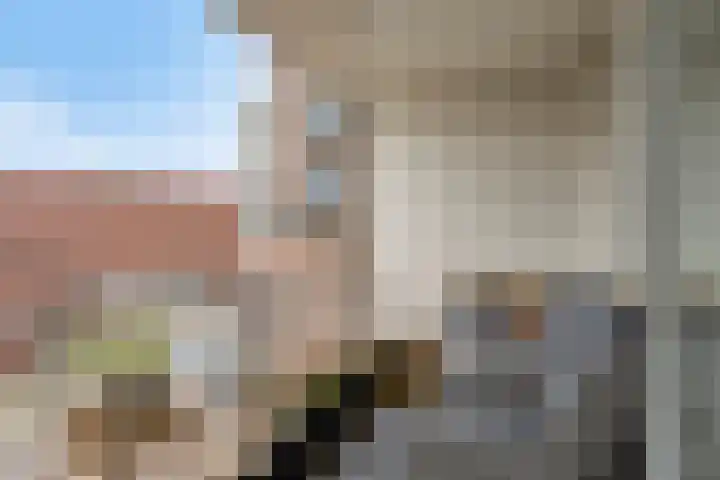 De Wiek 59 Ede thumbnail 13
