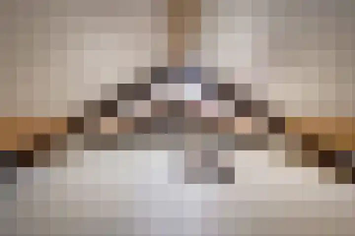 De Wieken 14 Delden thumbnail 37