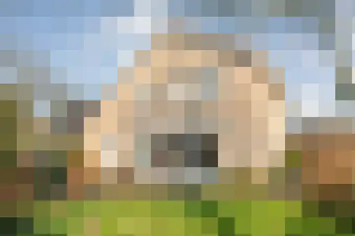 De Wieken 14 Delden thumbnail 41