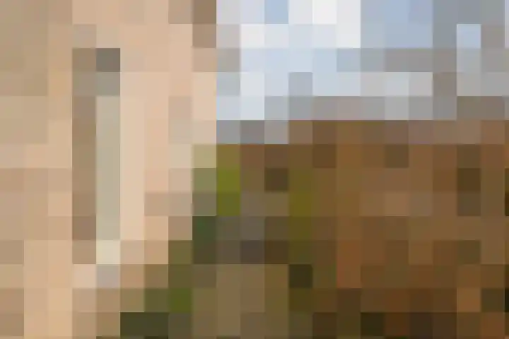 De Wieken 14 Delden thumbnail 43