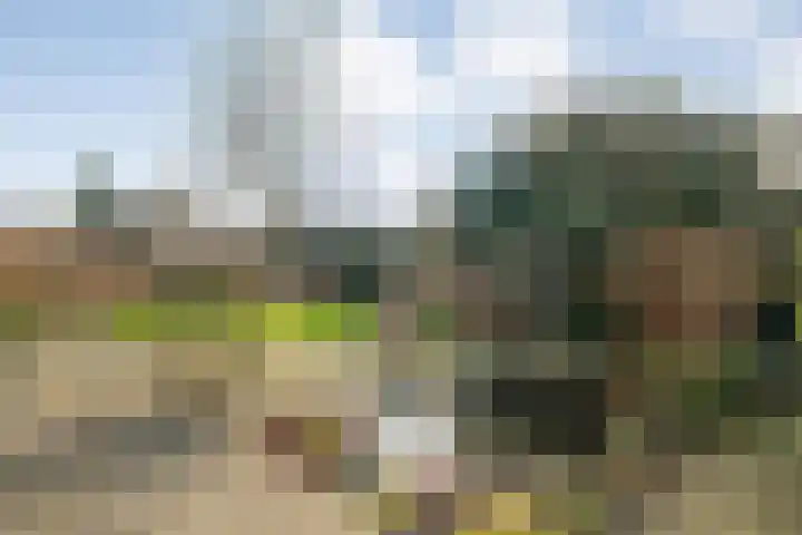 De Wieken 14 Delden thumbnail 48