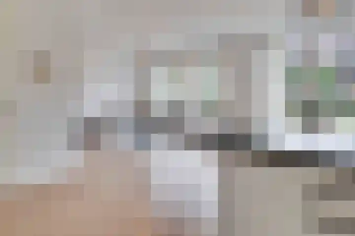 de Wieken 8 Helmond thumbnail 13