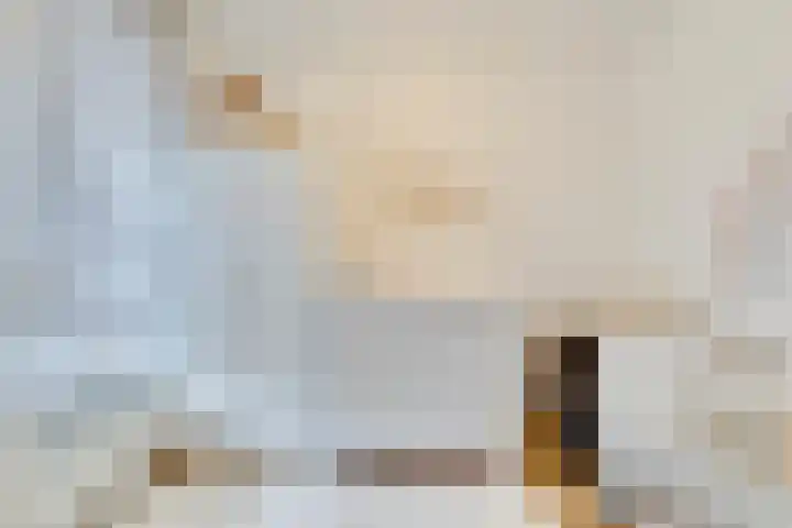de Wieken 8 Helmond thumbnail 17