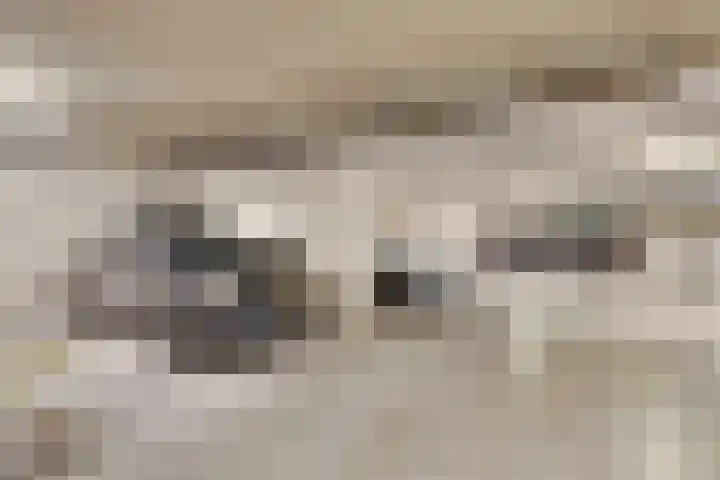 de Wieken 8 Helmond thumbnail 26