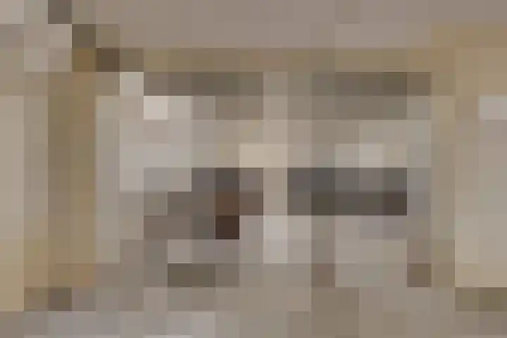 de Wieken 8 Helmond thumbnail 27