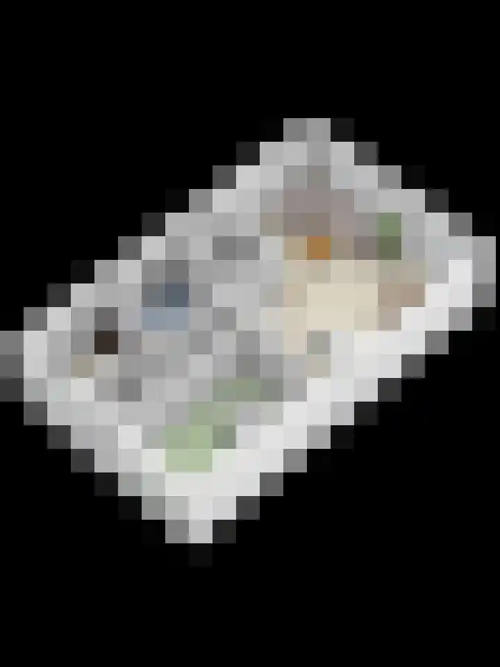 de Wieken 8 Helmond thumbnail 33