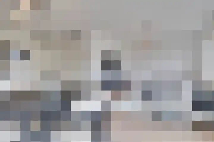 de Wieken 8 Helmond thumbnail 8