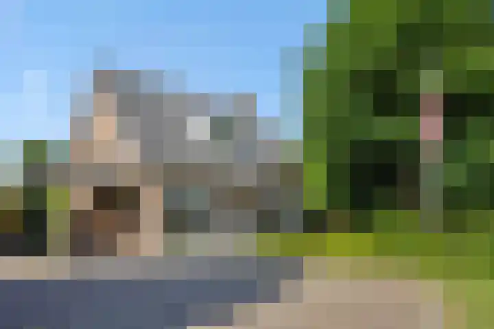 De Wiel 1 Geffen