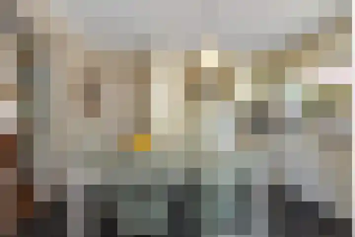 De Wiel 1 Geffen thumbnail 10