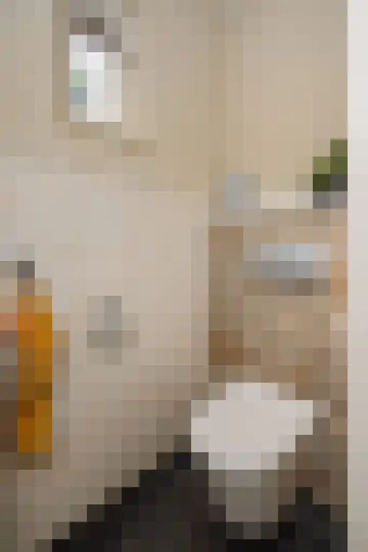 De Wiel 1 Geffen thumbnail 15