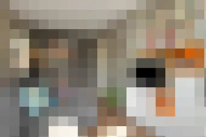 De Wiel 1 Geffen thumbnail 19