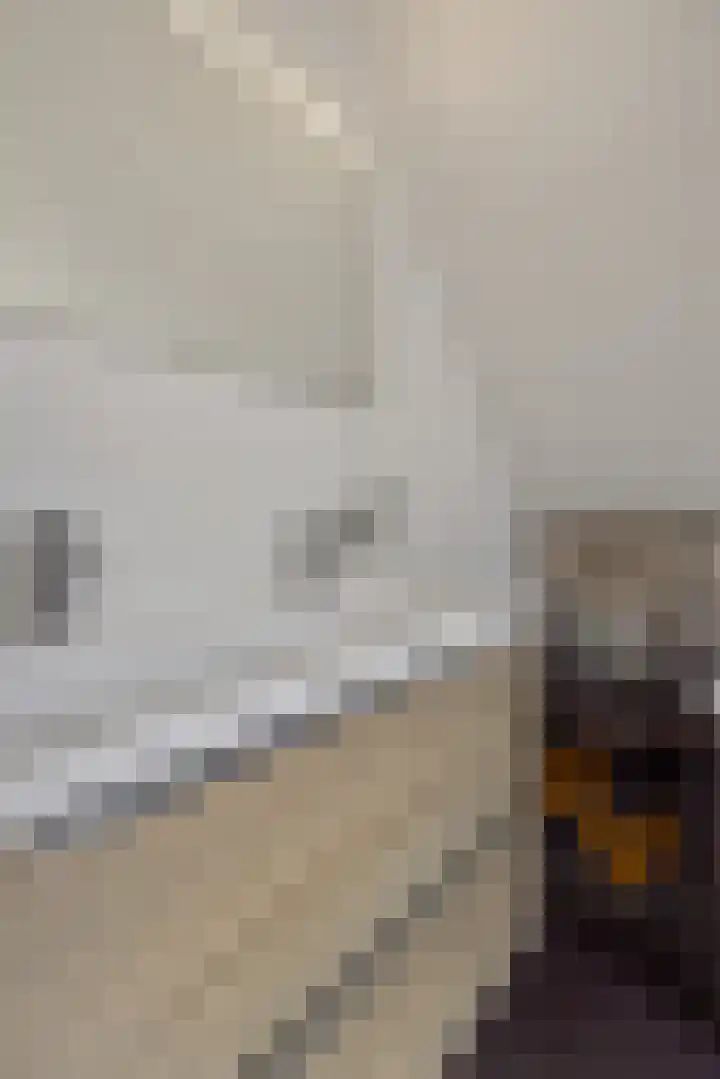 De Wiel 1 Geffen thumbnail 29
