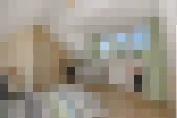 De Wiel 1 Geffen thumbnail 34