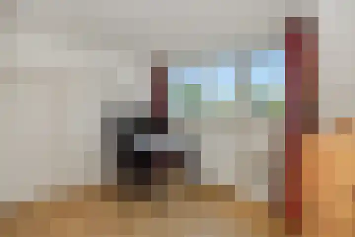 De Wiel 1 Geffen thumbnail 35