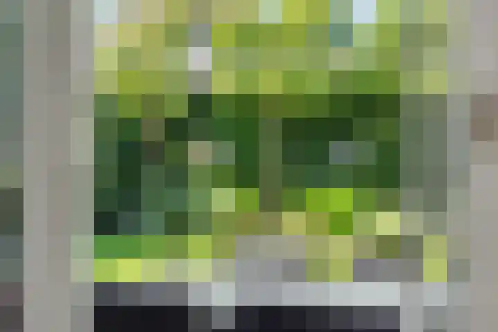 De Wiel 1 Geffen thumbnail 39