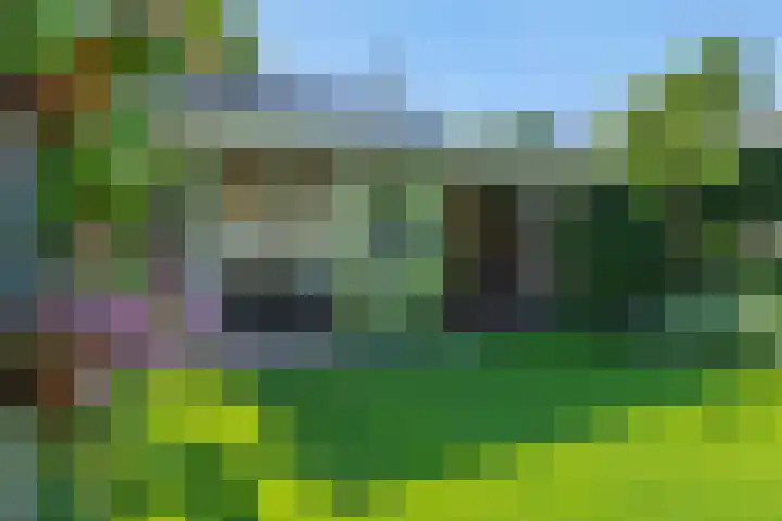 De Wiel 1 Geffen thumbnail 41