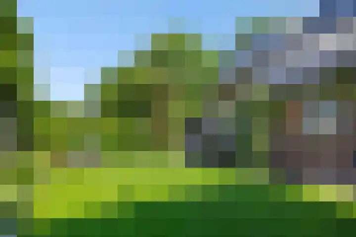 De Wiel 1 Geffen thumbnail 45