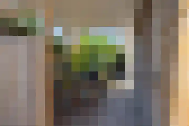 De Wiel 1 Geffen thumbnail 47
