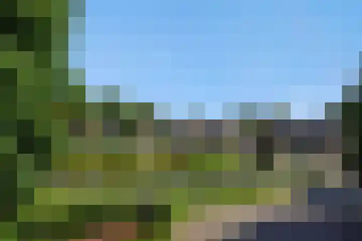 De Wiel 1 Geffen thumbnail 49