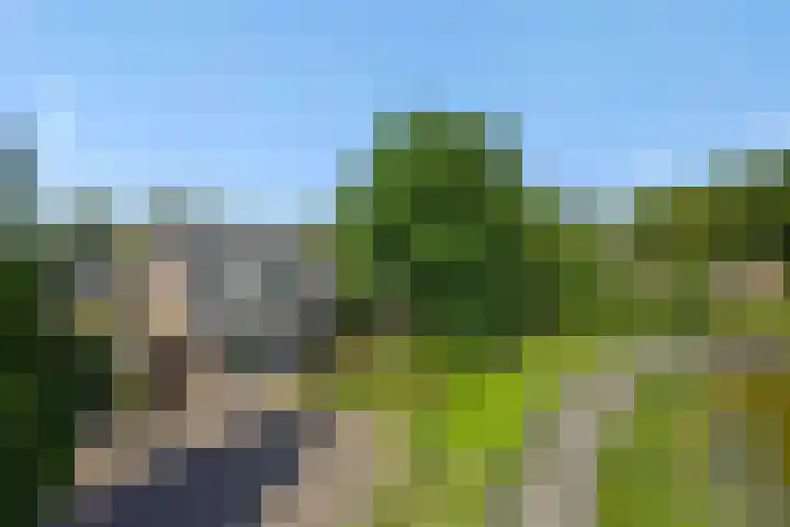 De Wiel 1 Geffen thumbnail 50